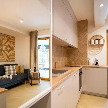 Apartament Widokowe Polany By Apart Concept Podhale Koscielisko Exterior photo
